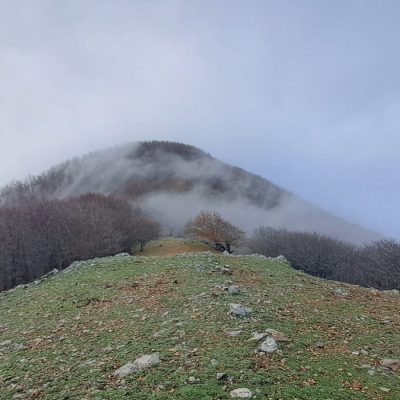 Monte Scorda